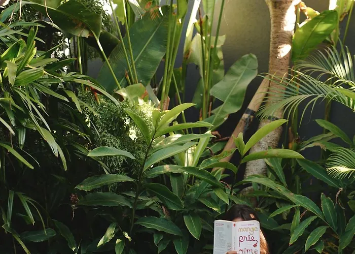 Masa Kecil - Stylish 1 Bedroom With Refreshing Plunge Pool And Private Garden Villa *