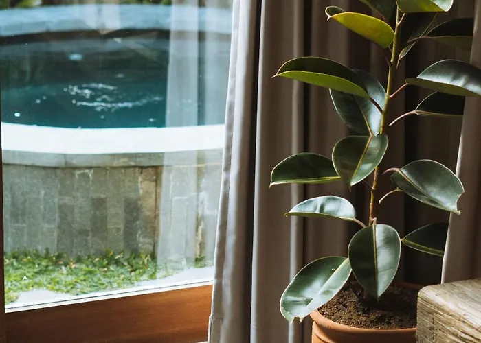 Masa Kecil - Stylish 1 Bedroom With Refreshing Plunge Pool And Private Garden Uluwatu